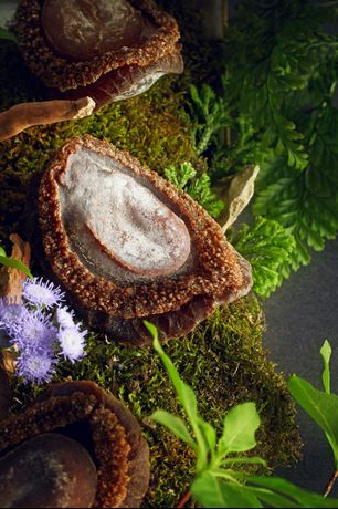 Verified hotel review - The Ritz-Carlton Shanghai, Pudong - 36