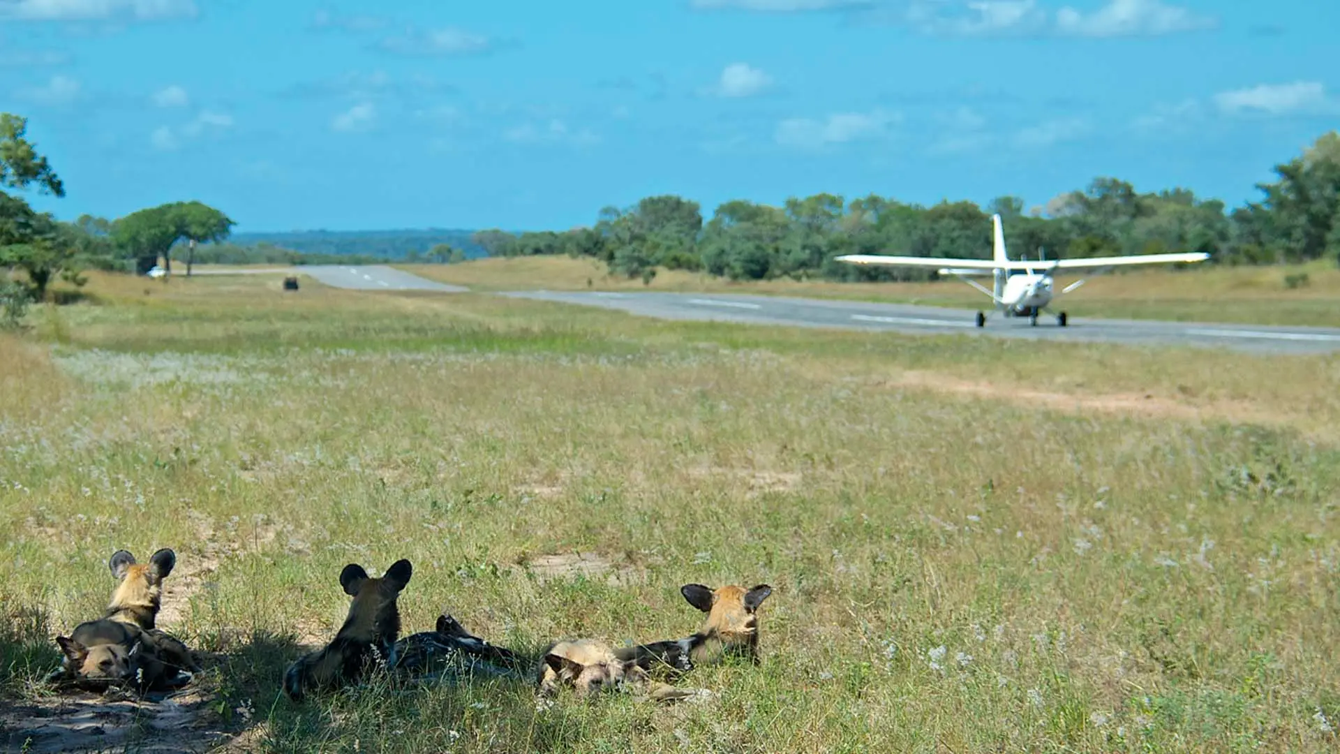 Hotel review Service & Facilities' - Sabi Sabi Private Game Reserve - 14