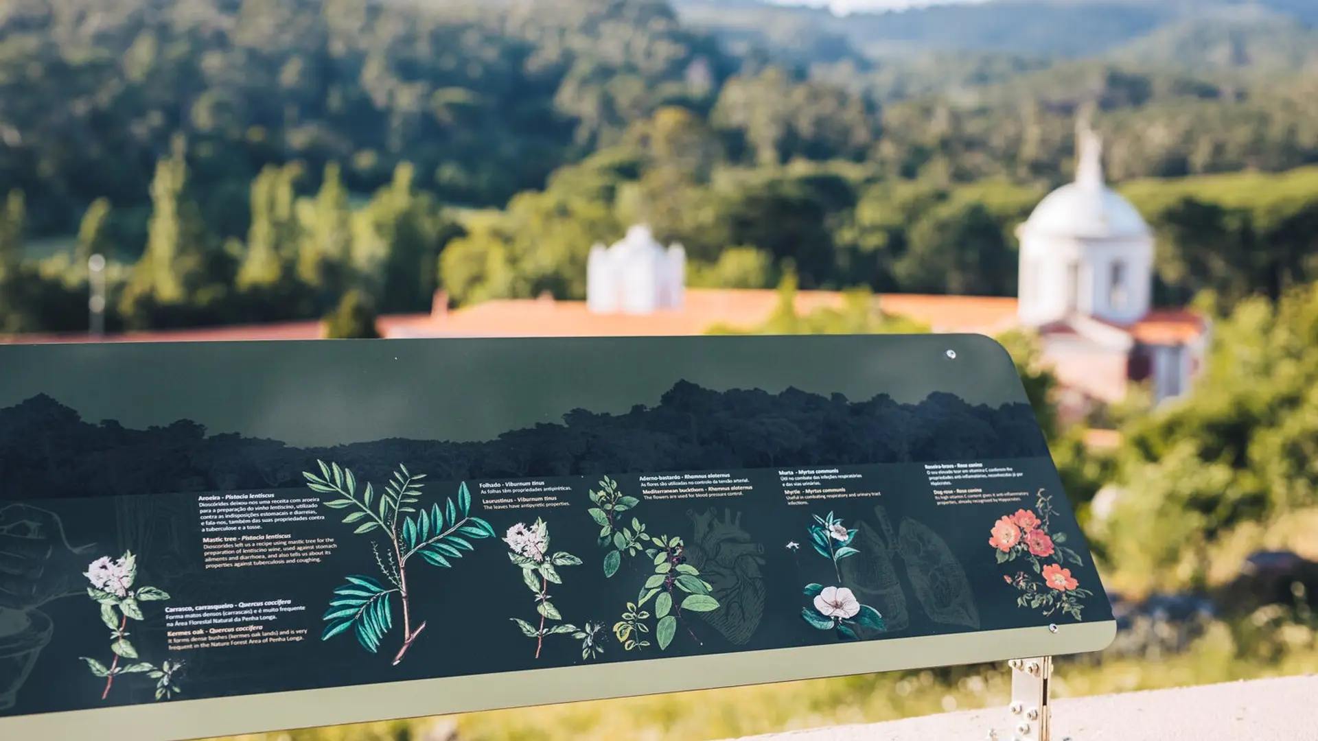 Hotel review Location' - Penha Longa Golf Resort - 4