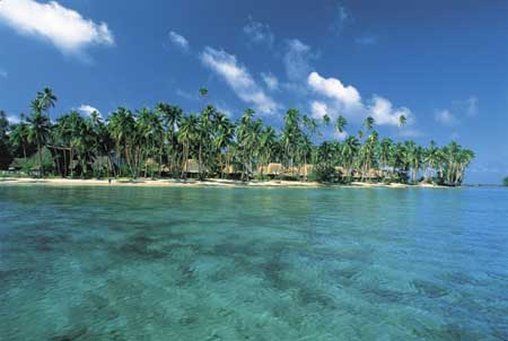 Jean-Michel Cousteau Resort Fiji - 6