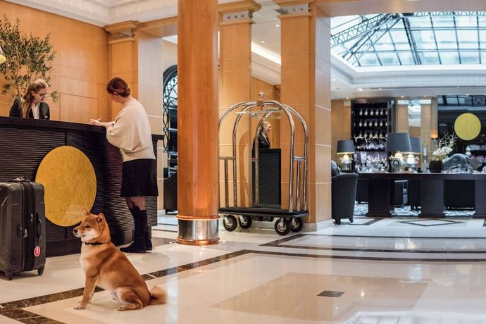 Verified hotel review - Hyatt Paris Madeleine - 36