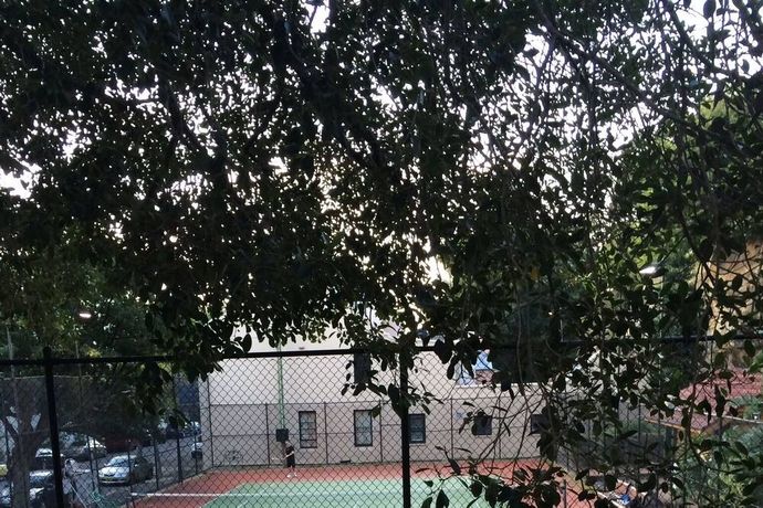 The Langham Sydney - 56