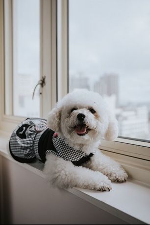 Verified hotel review - Taj Campton Place - 60