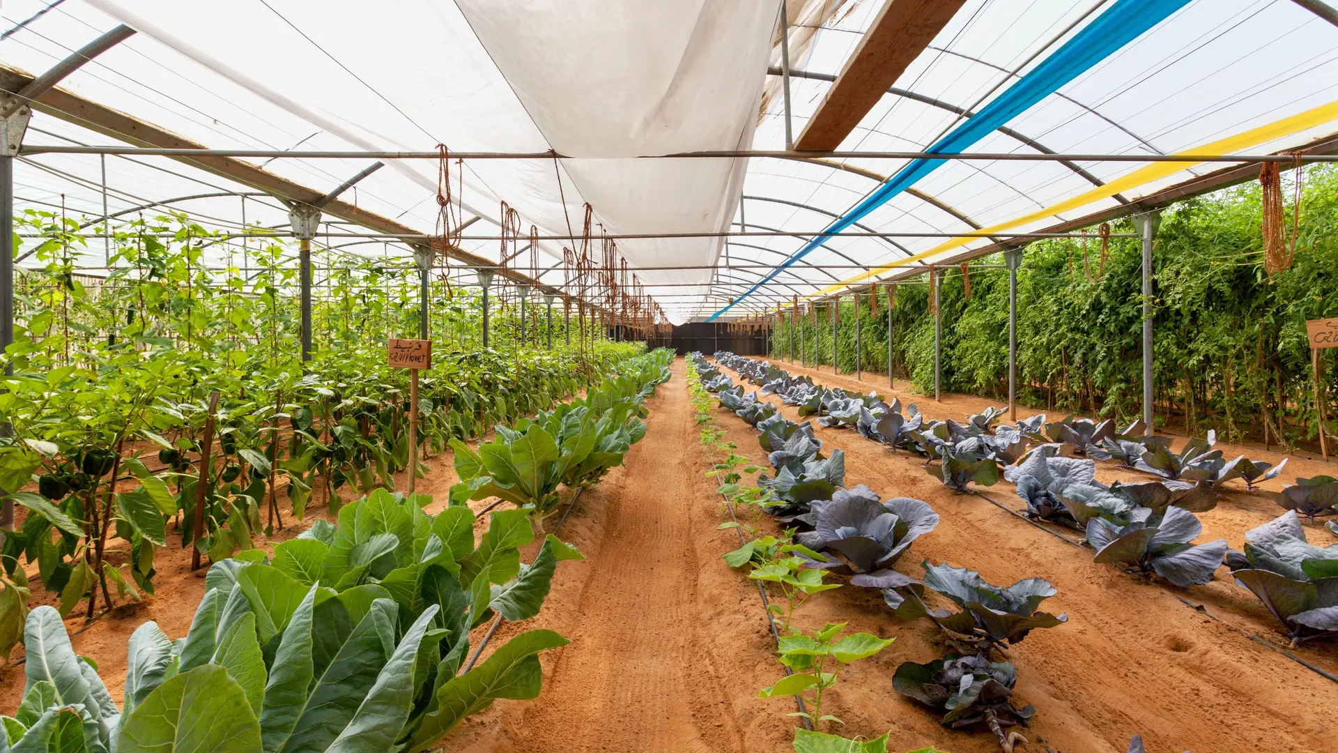 Hotel review Sustainability' - Six Senses Zighy Bay - 1