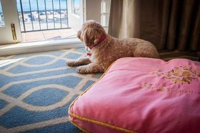 The Langham Sydney - 5