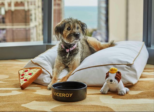 Verified hotel review - Viceroy Chicago - 59