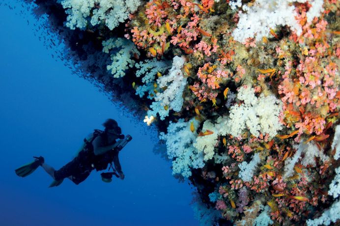 Verified hotel review - Four Seasons Resort Seychelles at Desroches Island - 58