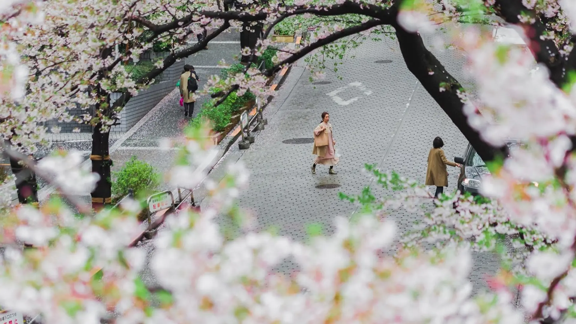 Hotel review Sustainability' - Prince Akatoki London - 0