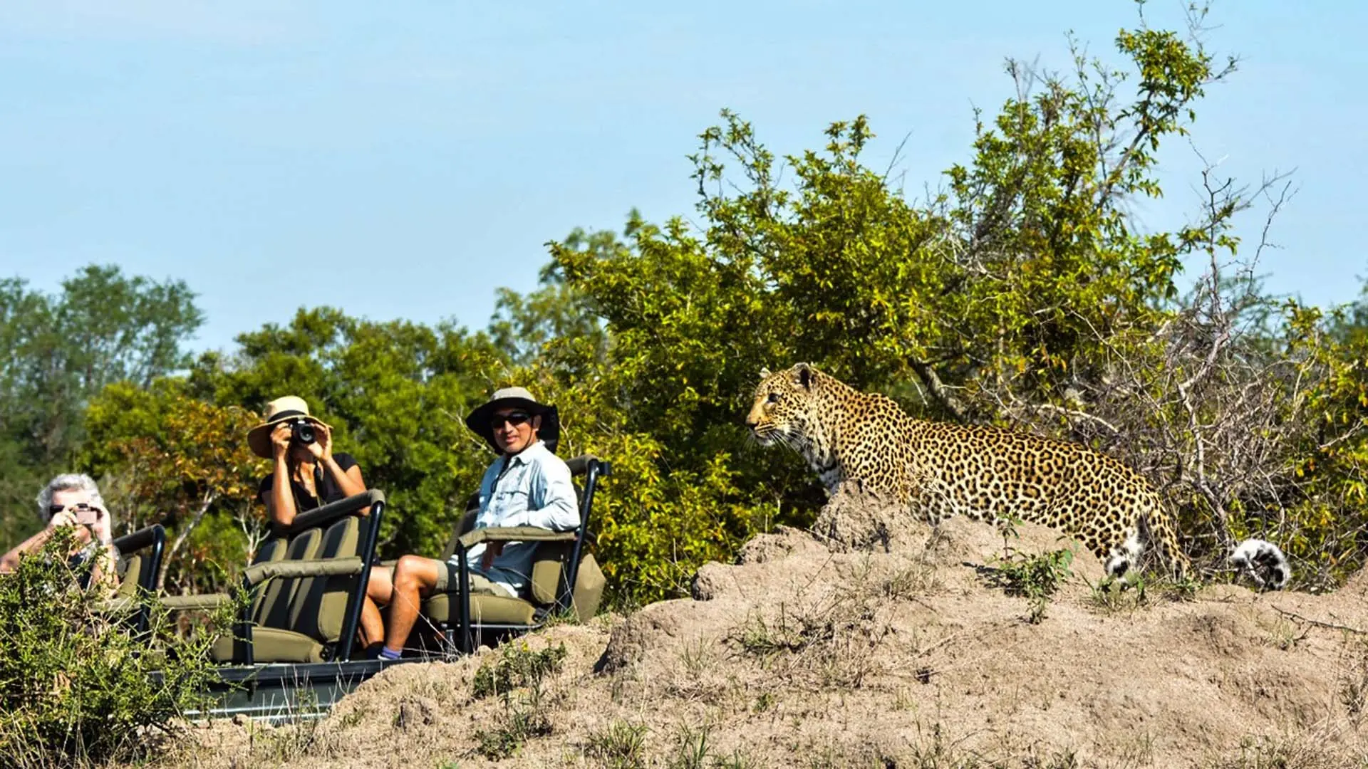 Hotel review Service & Facilities' - Sabi Sabi Private Game Reserve - 0