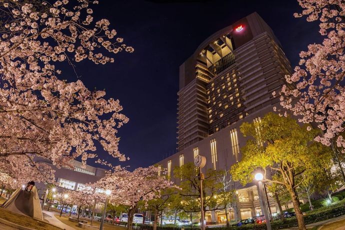 Verified hotel review - Imperial Hotel Osaka - 19