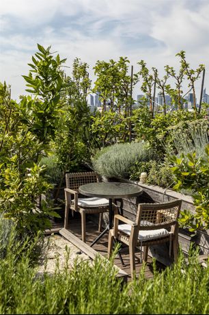 Brach Paris - Evok Collection - 47