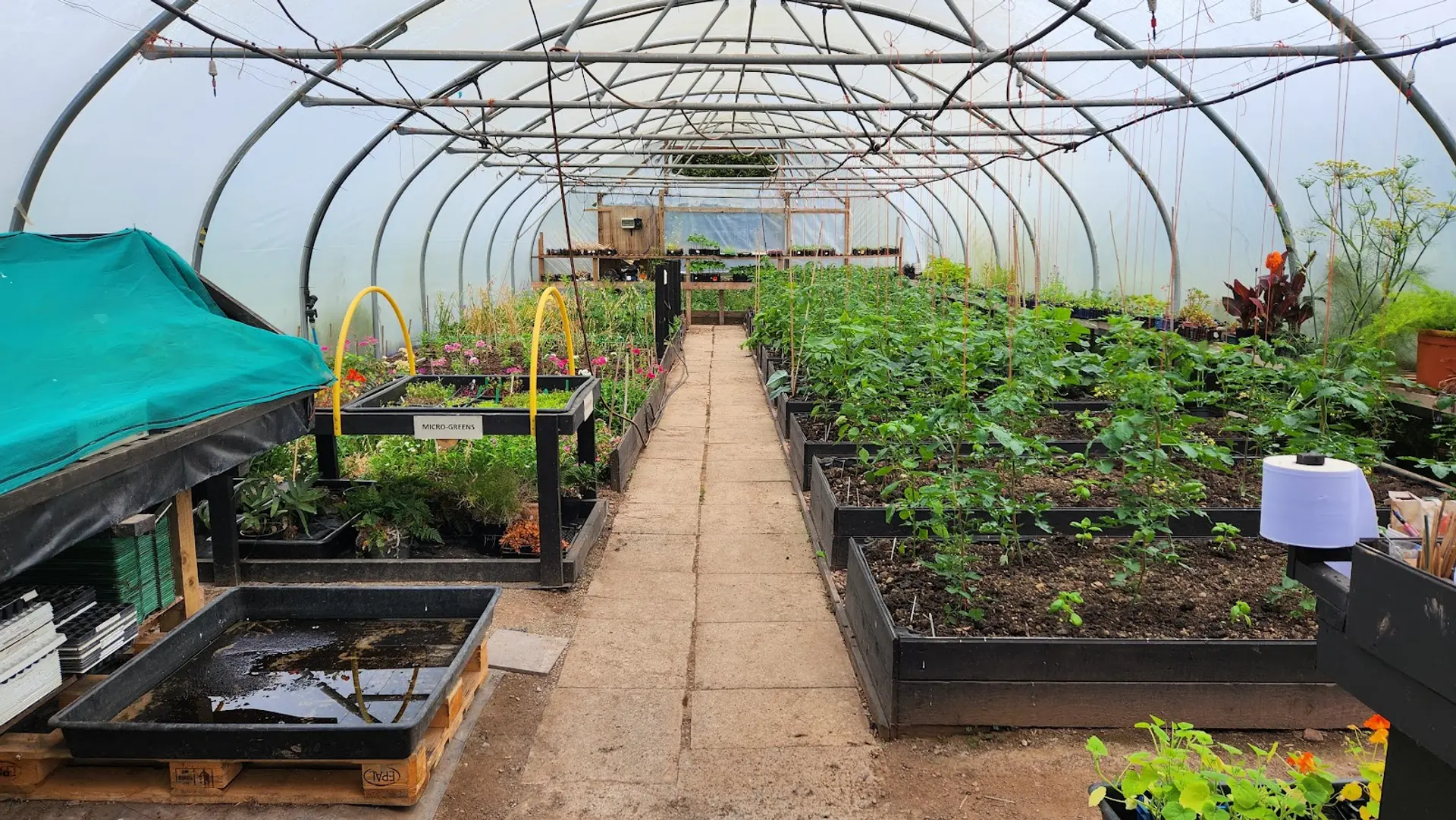 Hotel review Sustainability' - Grove of Narberth - 0