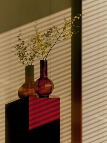 Verified hotel review - The Puli Hotel And Spa - 49