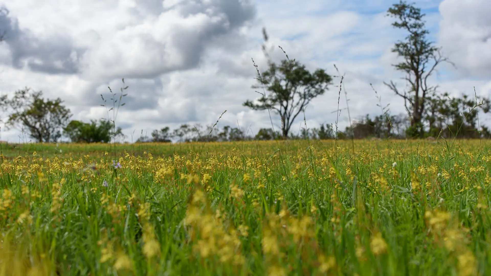 Hotel review Sustainability' - Sabi Sabi Private Game Reserve - 0