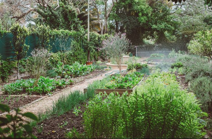 Verified hotel review - Ten Bompas Hotel - 27