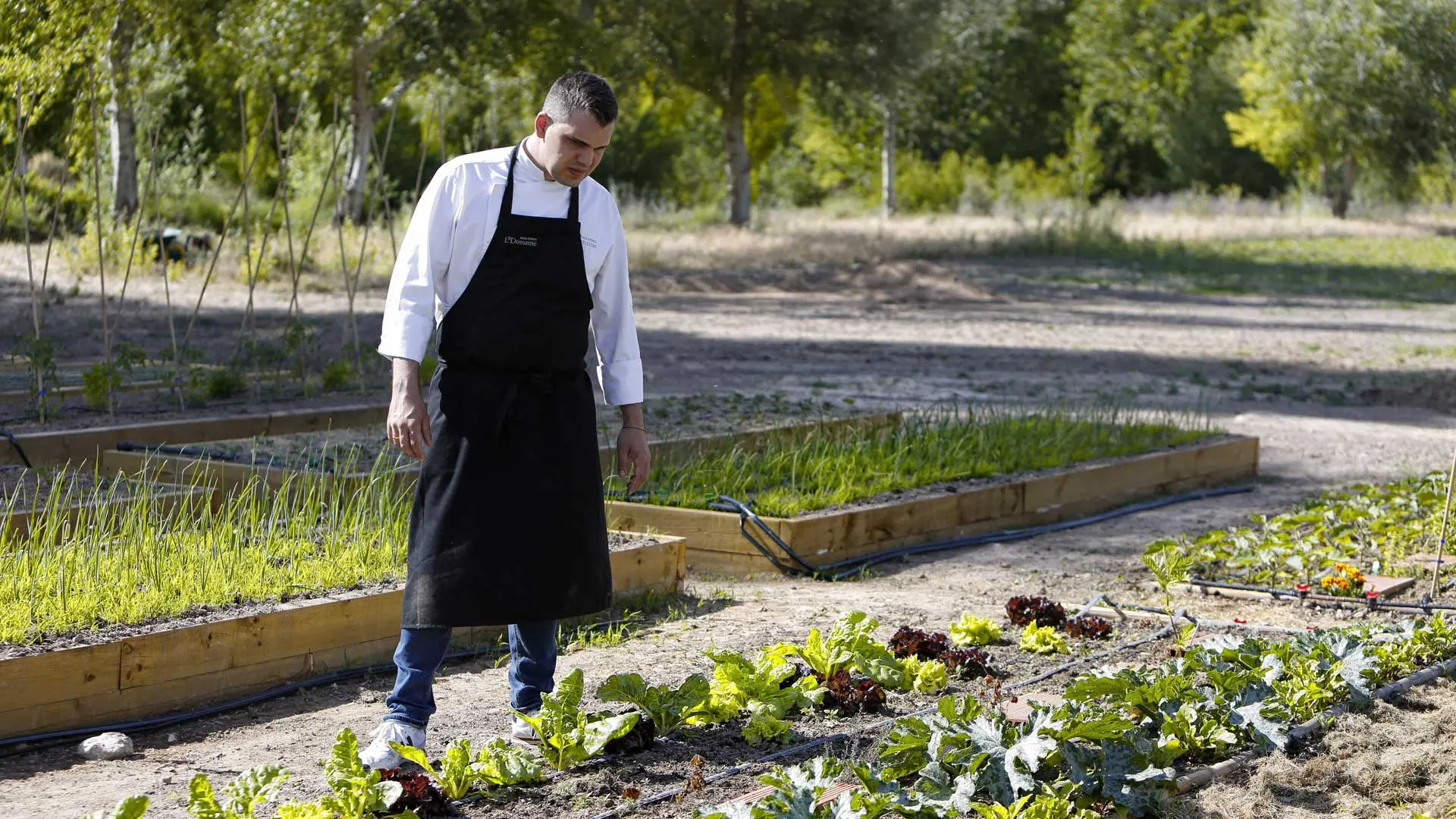 Hotel review Sustainability' - Abadia Retuerta LeDomaine - 0