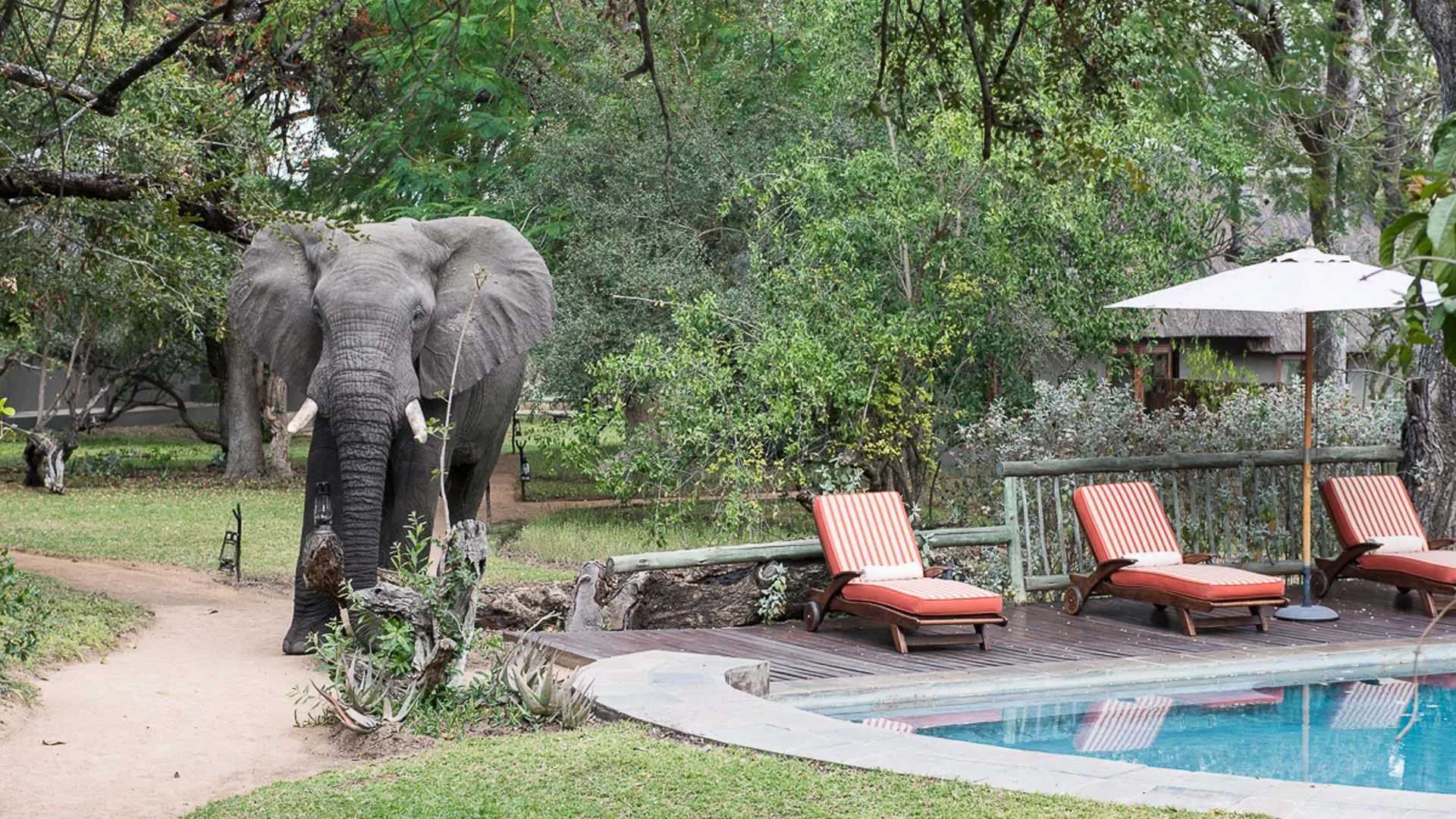 Hotel review Location' - Sabi Sabi Private Game Reserve - 4