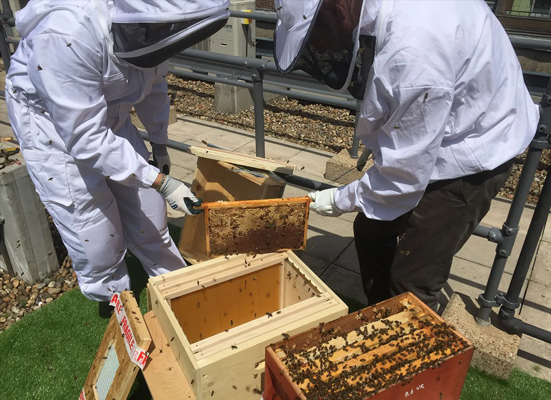 Hotel review Sustainability' - The Ritz London - 1