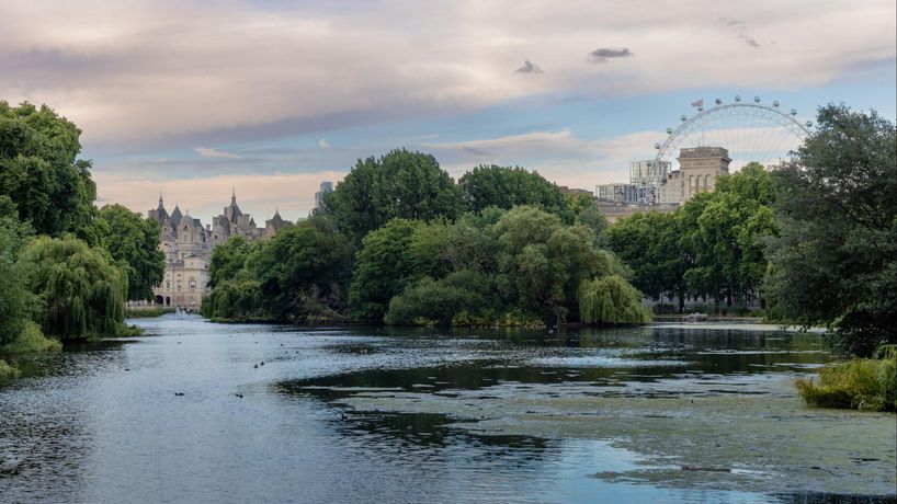 Verified hotel review - St James Hotel and Club Mayfair - 35