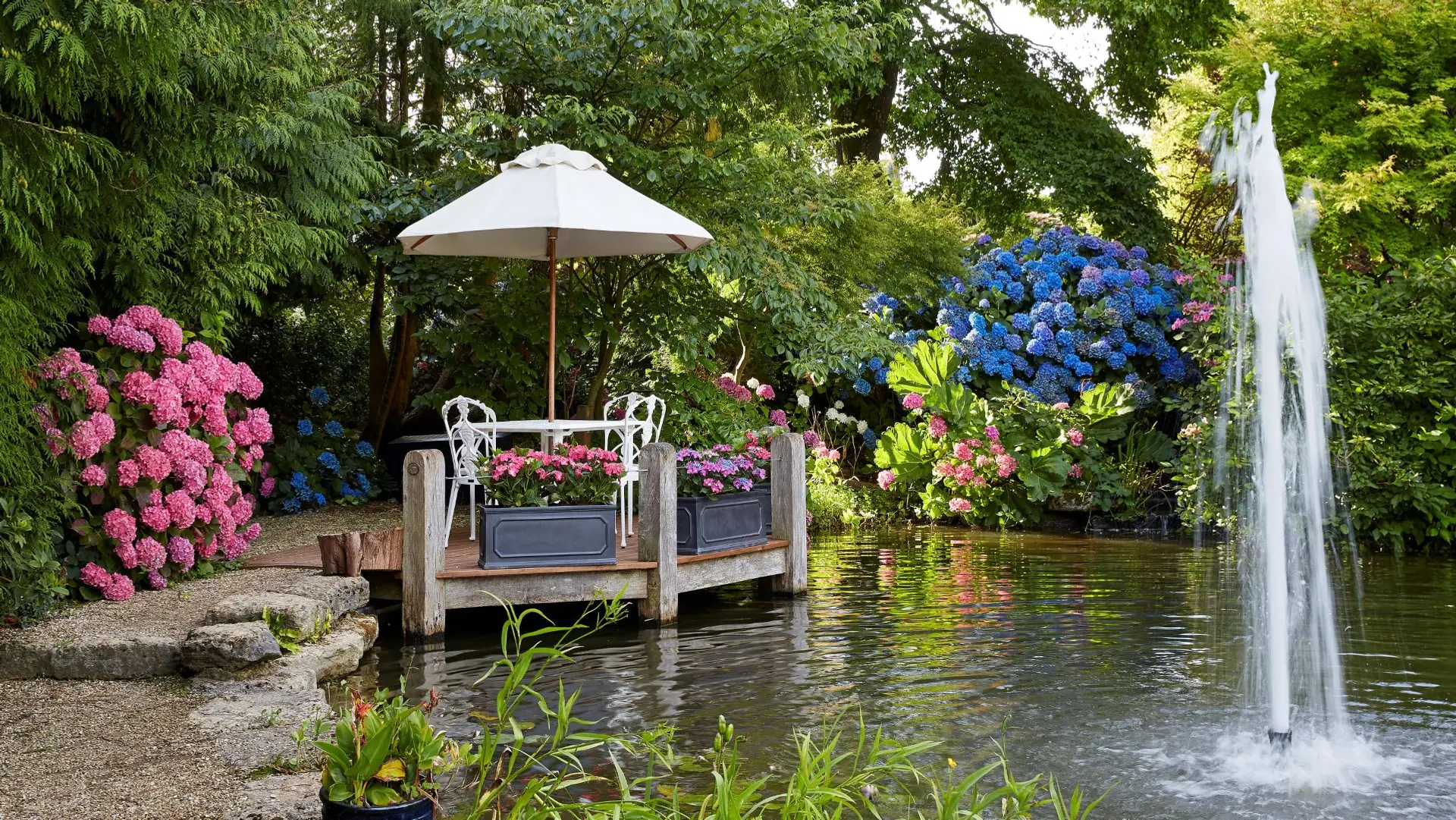 Review of Summer Lodge Country House Hotel & Restaurant