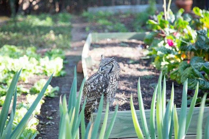 Verified hotel review - Ten Bompas Hotel - 25