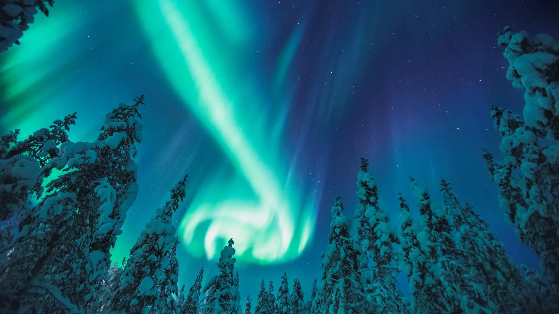 Hotel review Location' - Kakslauttanen Arctic Resort - Igloos and Chalets - 0