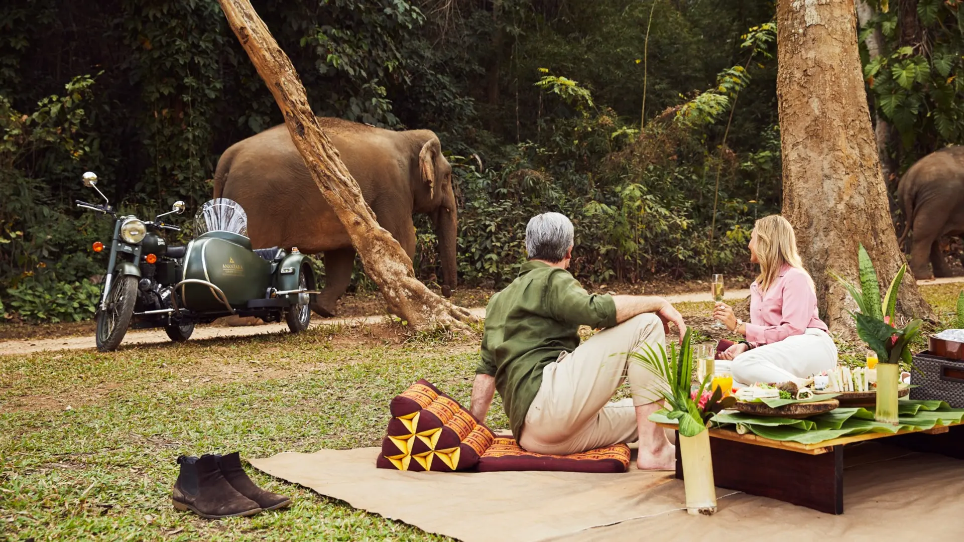 Hotel review Restaurants & Bars' - Anantara Golden Triangle Elephant Camp & Resort - 5