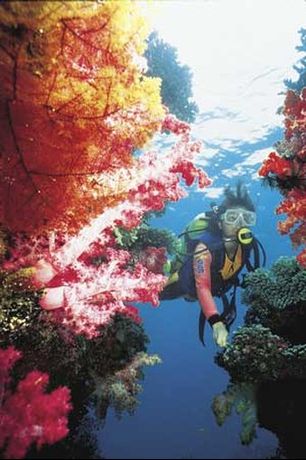 Jean-Michel Cousteau Resort Fiji - 5