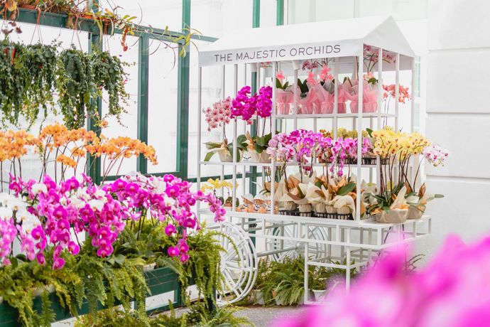 Verified hotel review - The Majestic Hotel Kuala Lumpur, Autograph Collection - 45