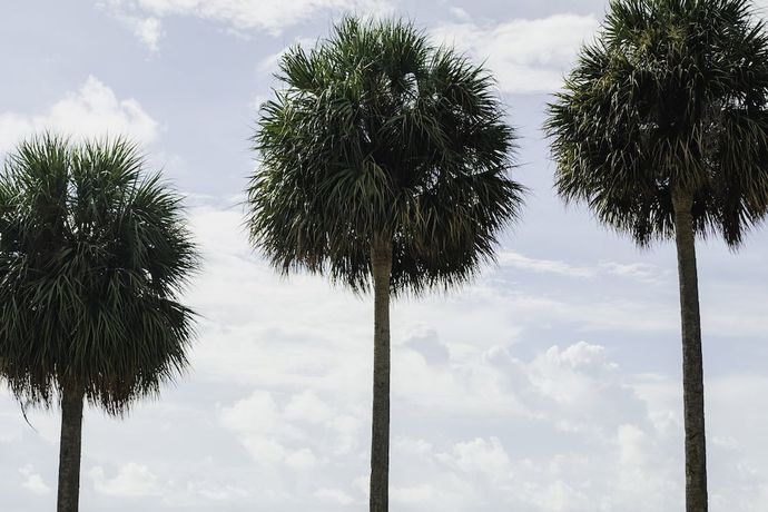 Verified hotel review - Four Seasons Hotel Miami - 57