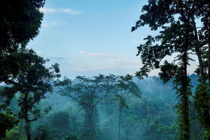 Verified hotel review - Amandari Bali - 26