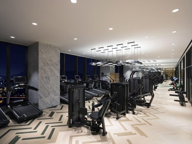 Novotel Ambassador Seoul Yongsan - Seoul Dragon City