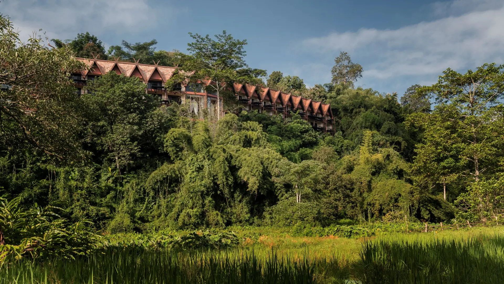 Review of Anantara Golden Triangle Elephant Camp & Resort - 9