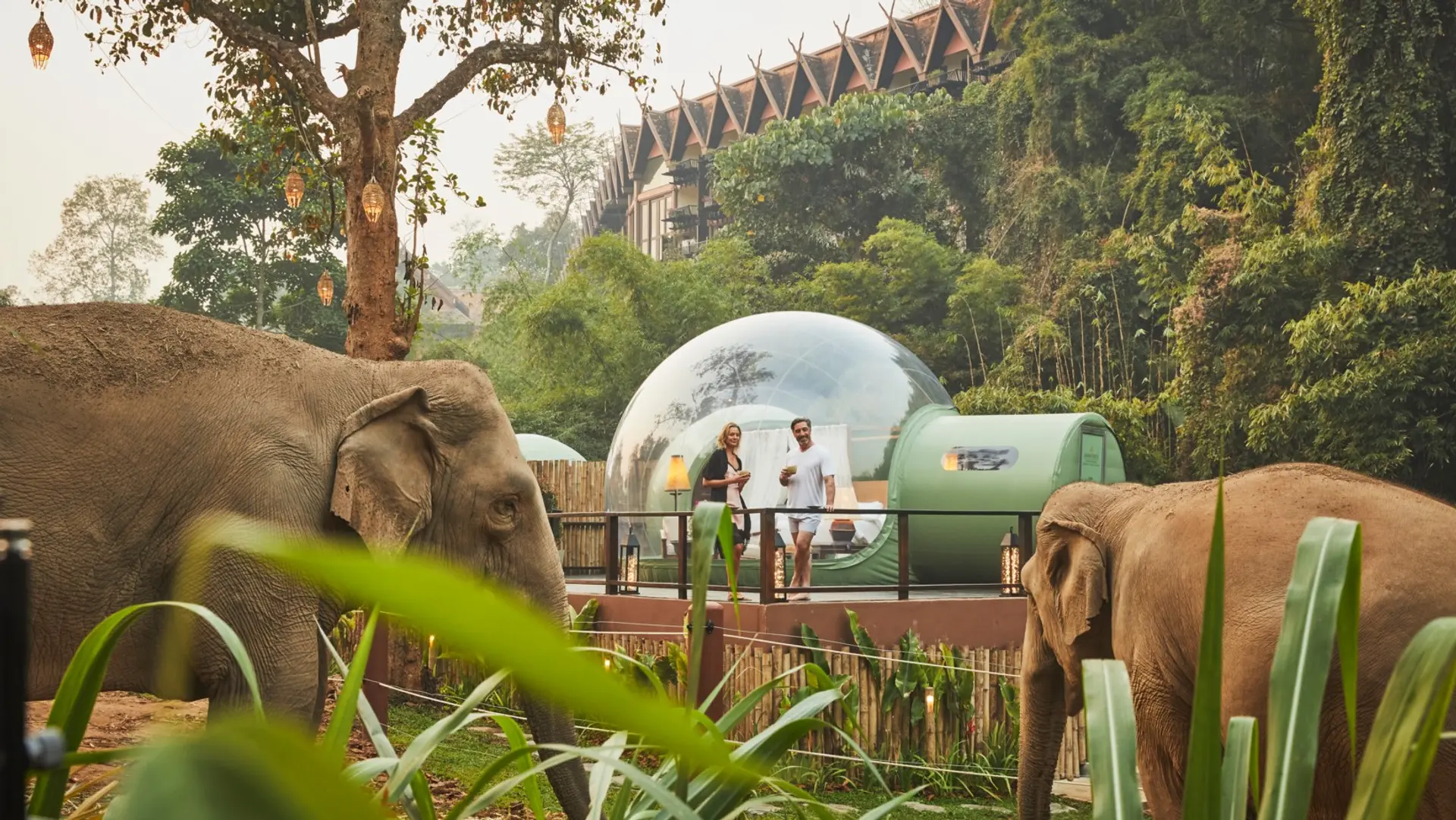 Review of Anantara Golden Triangle Elephant Camp & Resort - 7