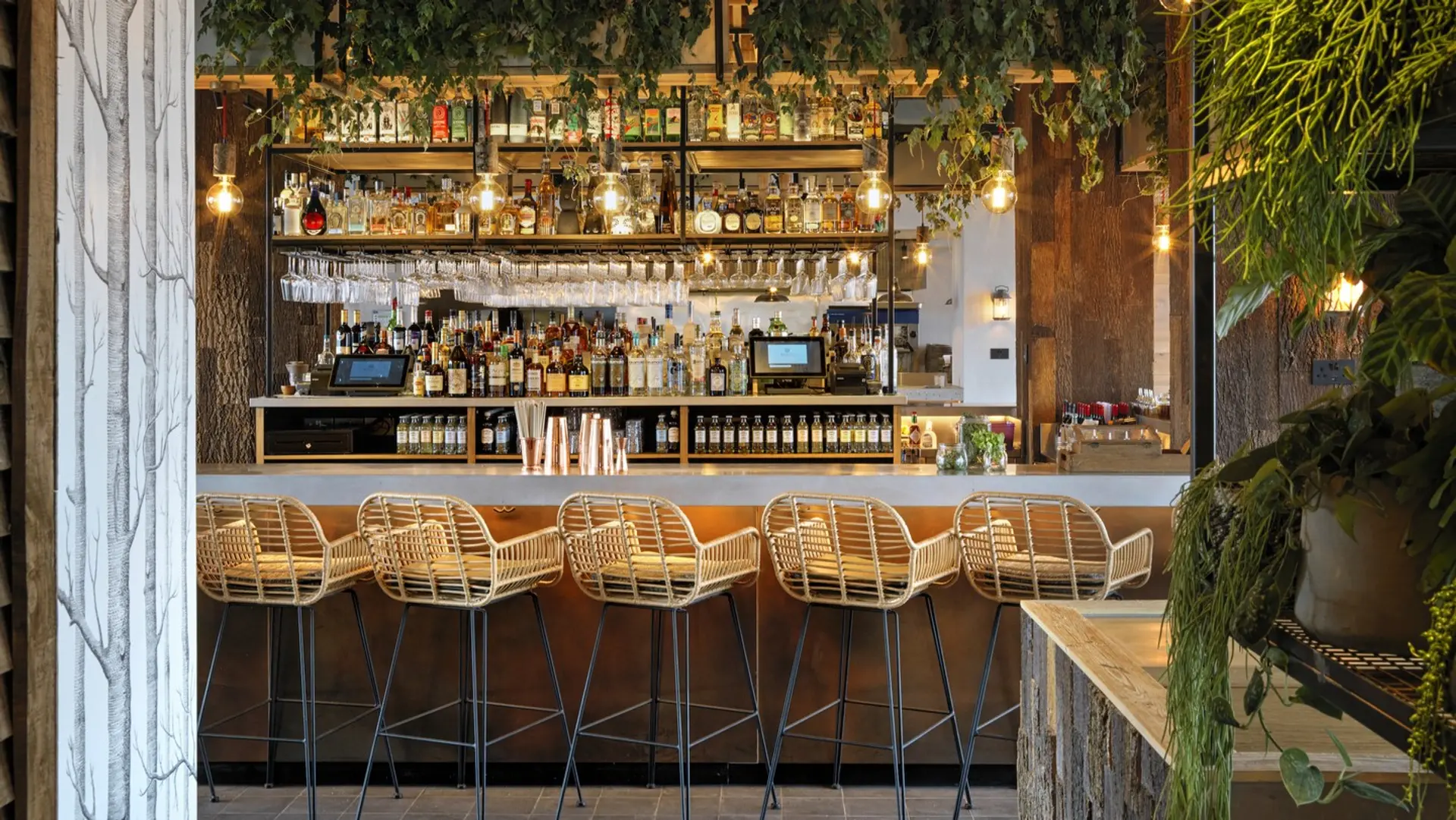 Review of Treehouse Hotel London - 9