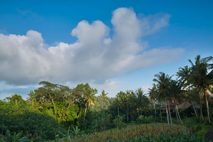 Verified hotel review - Amandari Bali - 43