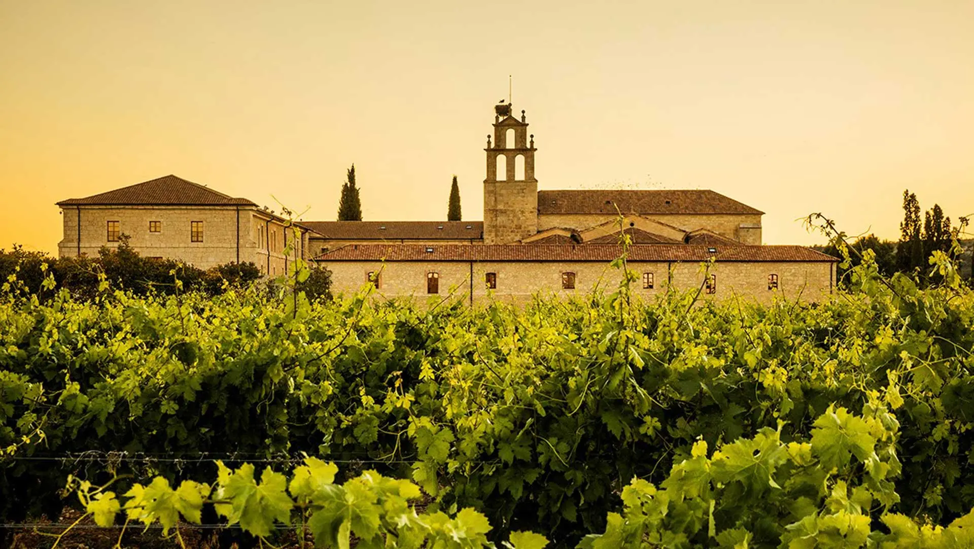 Review of Abadia Retuerta LeDomaine - 7