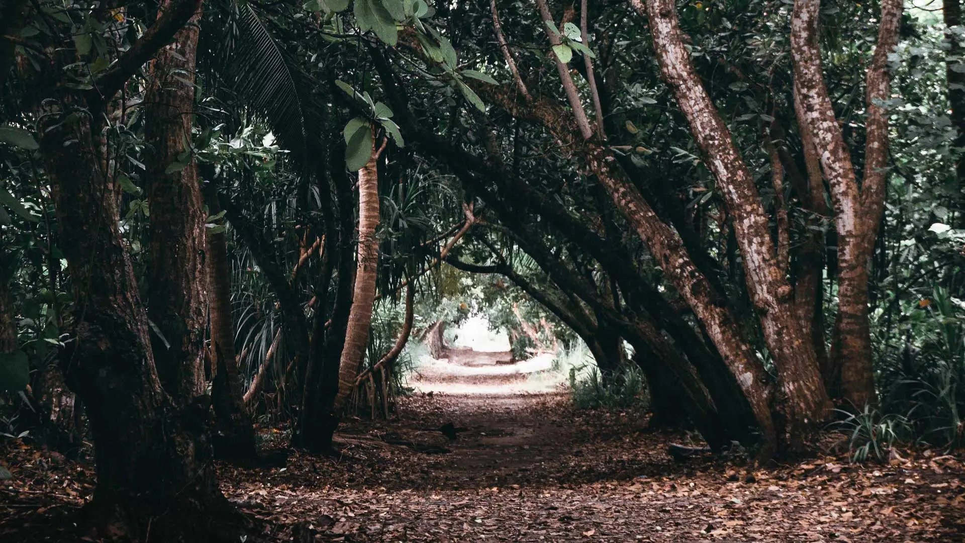 Hotel review Location' - Siyam World Maldives - 3