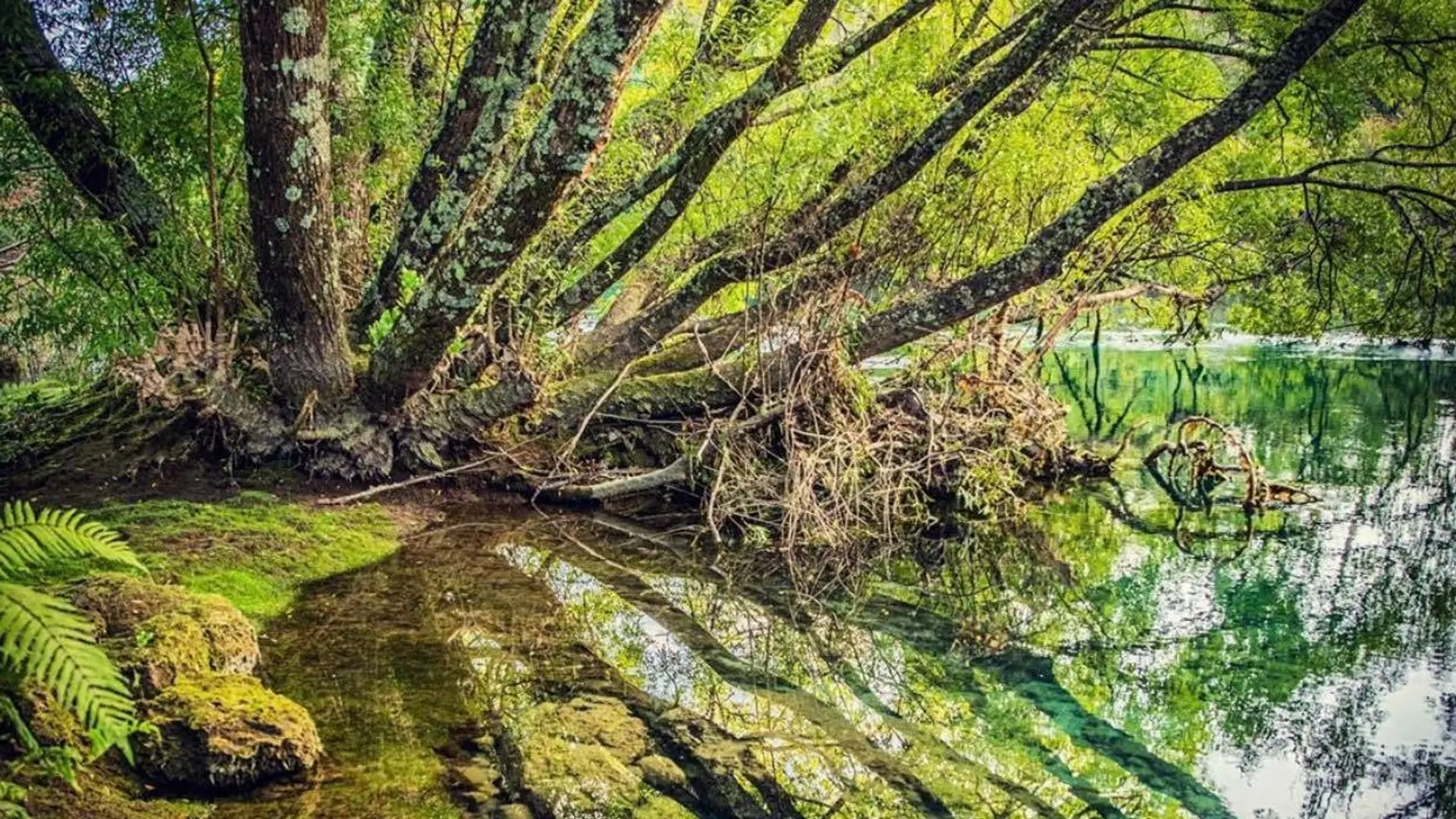 Hotel review Sustainability' - Huka Lodge - 1