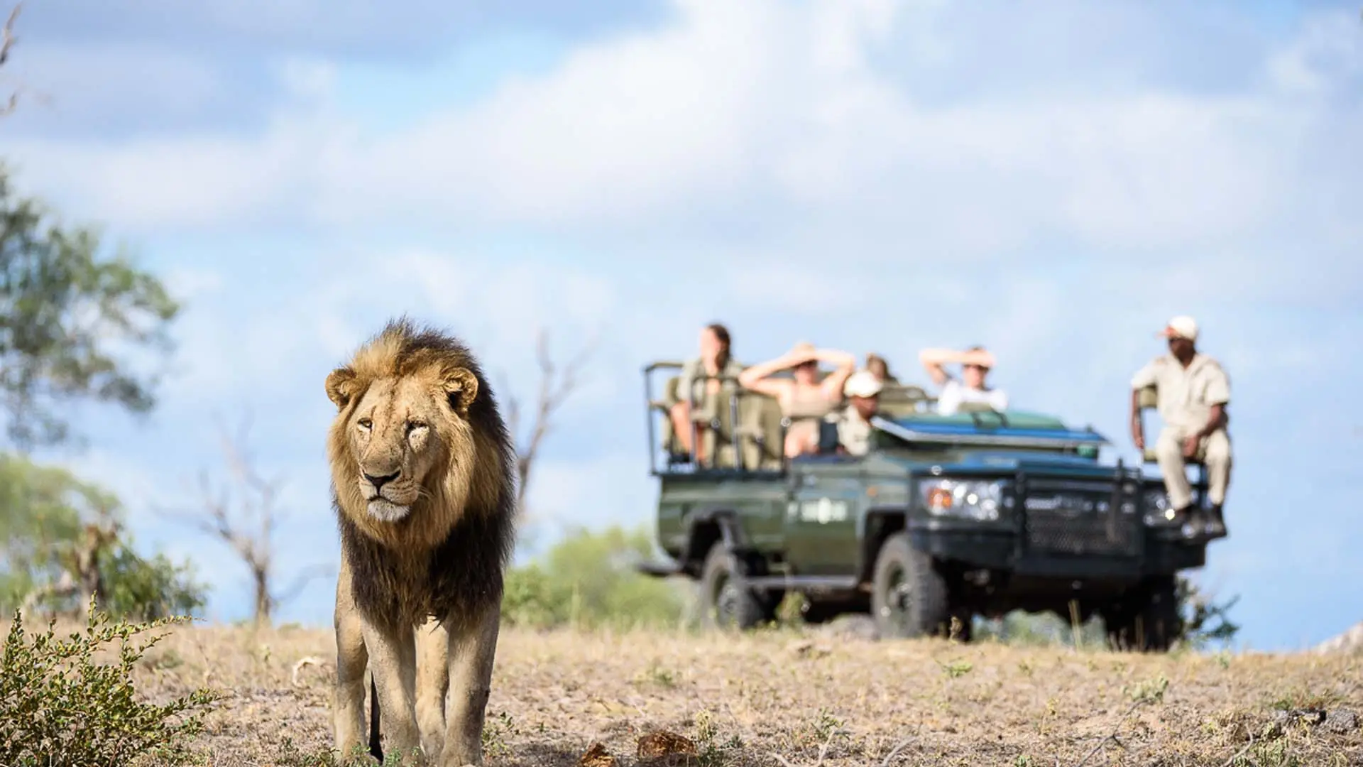 Review of Sabi Sabi Private Game Reserve - 7