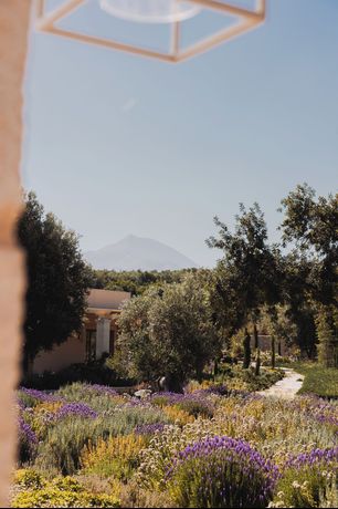 Verified hotel review - Kapsaliana Village Hotel - 28