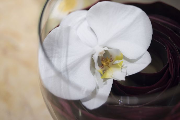 Verified hotel review - Apricot Hotel - 24