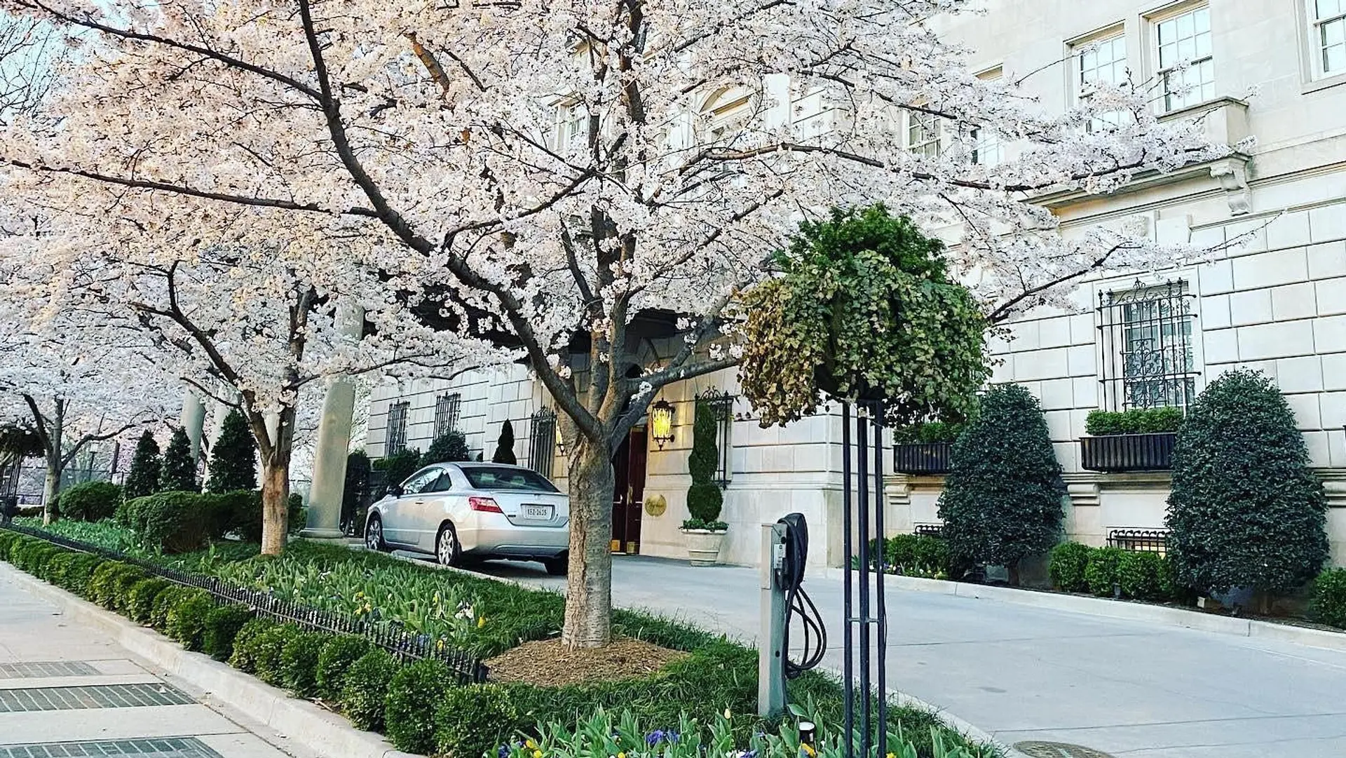 Hotel review Sustainability' - The Hay-Adams - 1