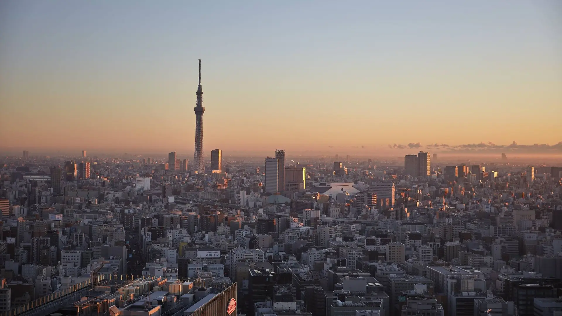 Review of Mandarin Oriental Tokyo - 8