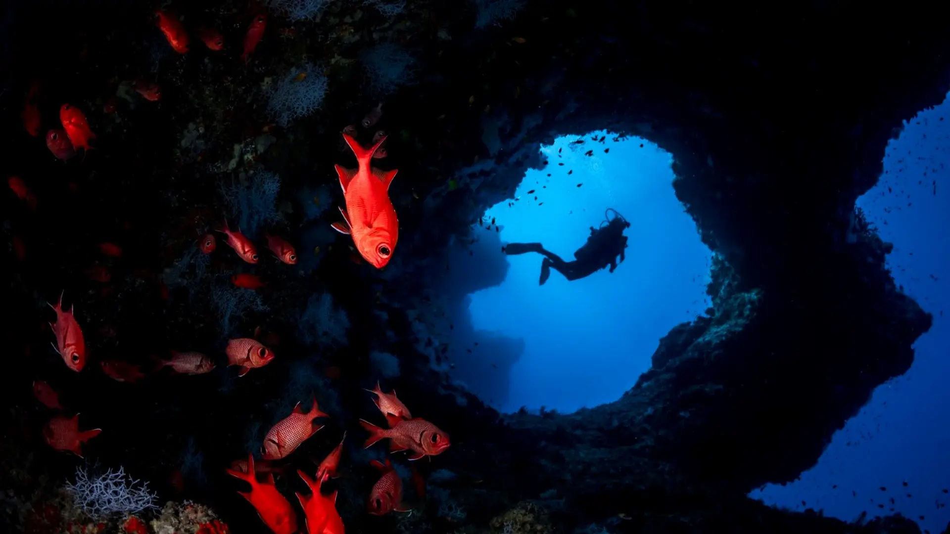 Hotel review Service & Facilities' - COMO Cocoa Island - 8