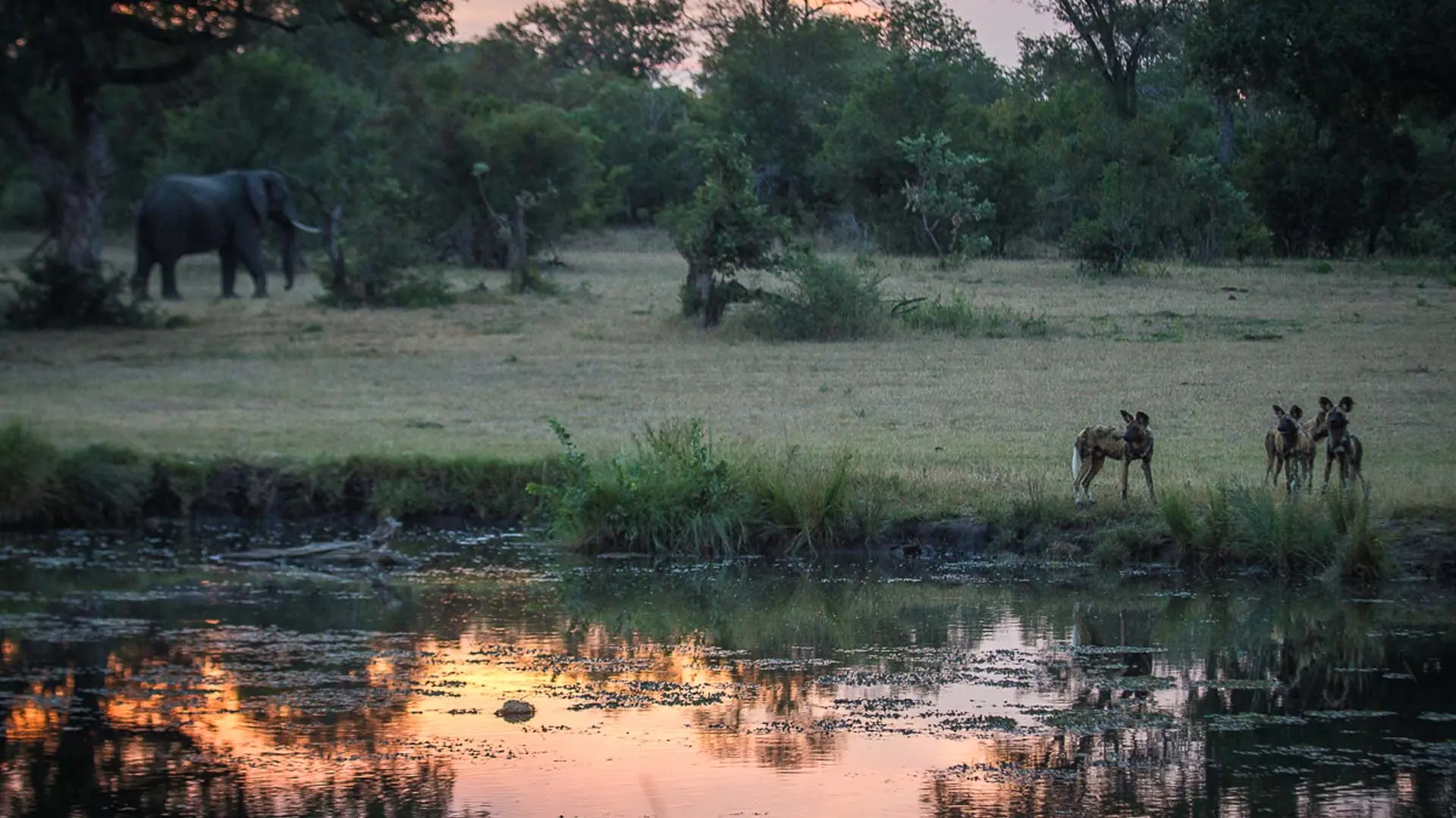 Hotel review Service & Facilities' - Sabi Sabi Private Game Reserve - 3