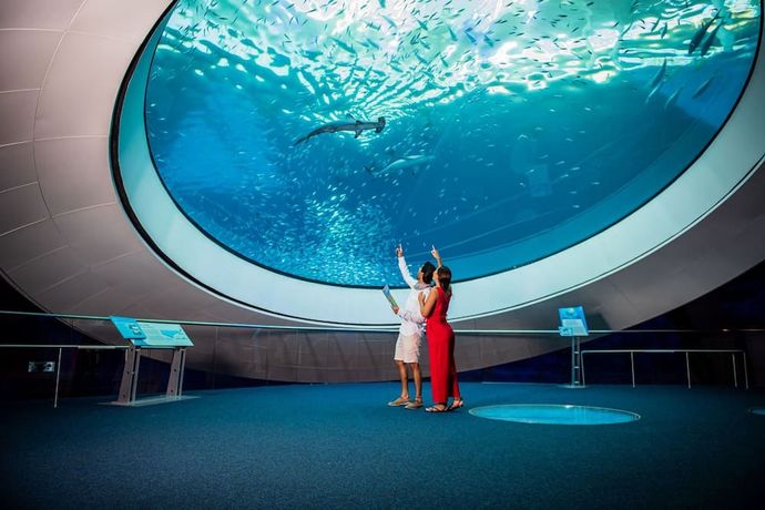 Verified hotel review - The Ritz-Carlton, South Beach - 26