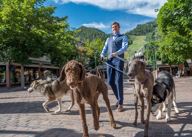 The Little Nell - 36