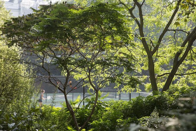 Verified hotel review - The Carlton Tower Jumeirah - 52