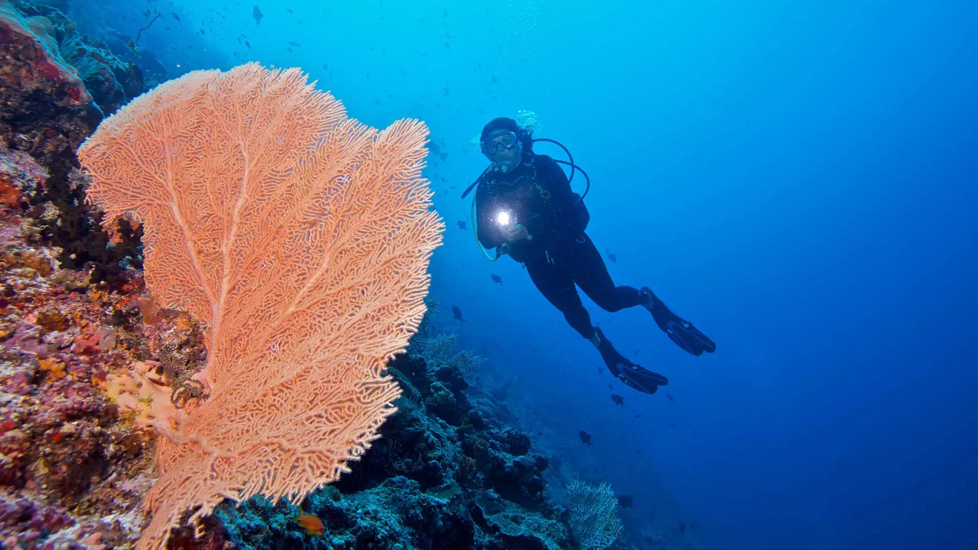 Review of Hurawalhi Island Resort - 3